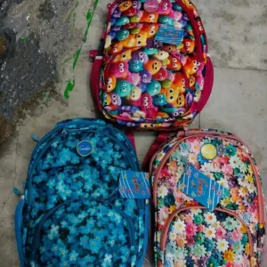School Bag for Kids (Multicolor)