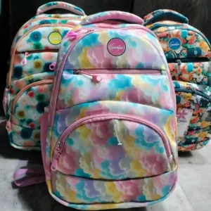 School Bag For Girls From Class 1st to 10th Class (Multicolor)
