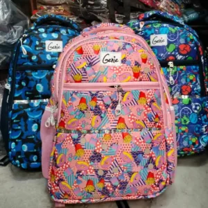 School Bag For Girls From Class 1st to 10th Class (Multicolor)